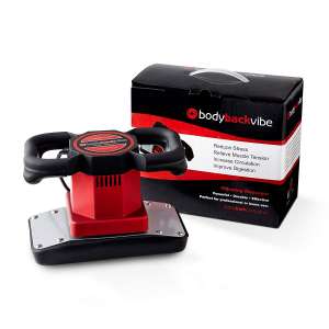 Body Back Variable Professional Massager