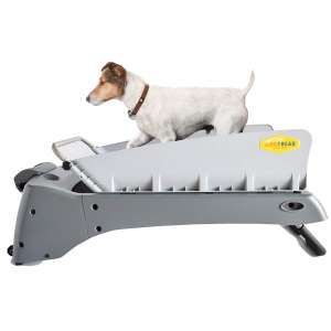 DogTread Small Dog Treadmills