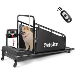 Goplus Dog Treadmills for Dogs Under 200 lbs
