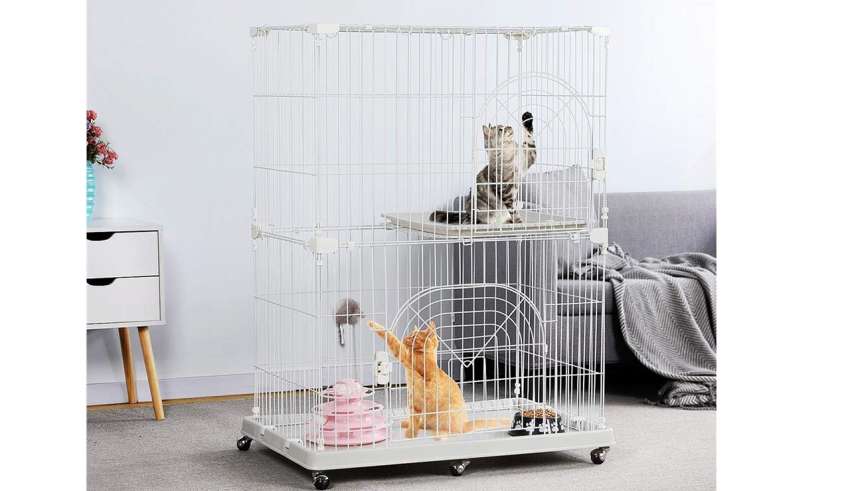 Cats Cages