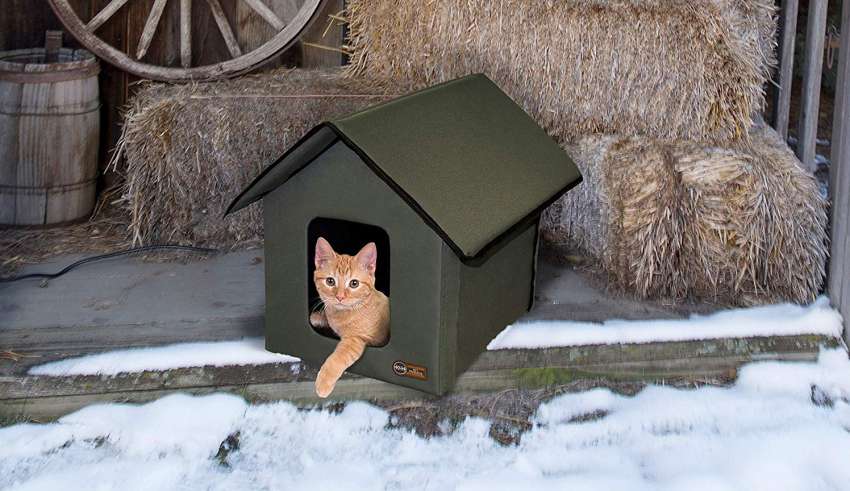 Heated Cat Houses