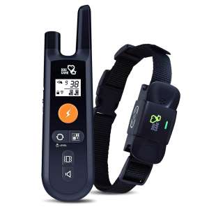 DOG CARE Dog Training Collar with Remote