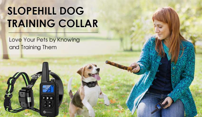 Dog Shock Collar with Remote Controller