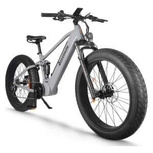 Accolmile 48V 1000W Motor Electric Bicycle with 12.8Ah Battery and 26" 4.0 Tire