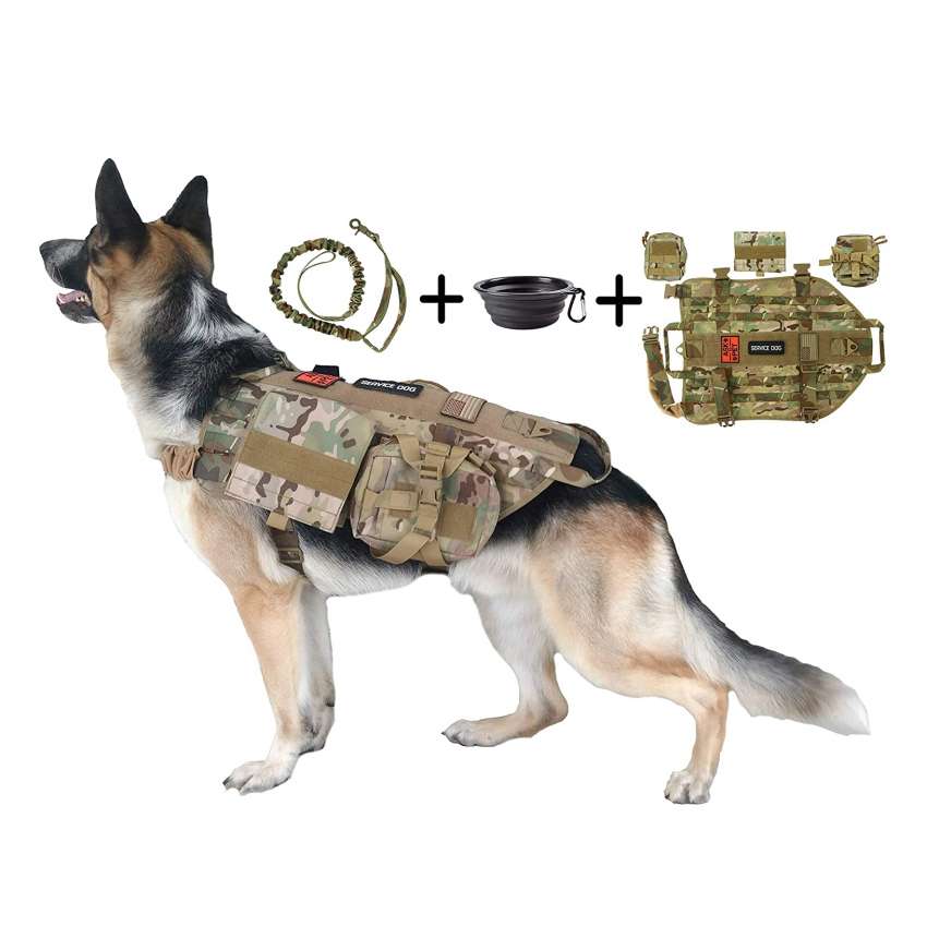 Top 10 Best Tactical Dog Harnesses in 2021 Reviews | Guide