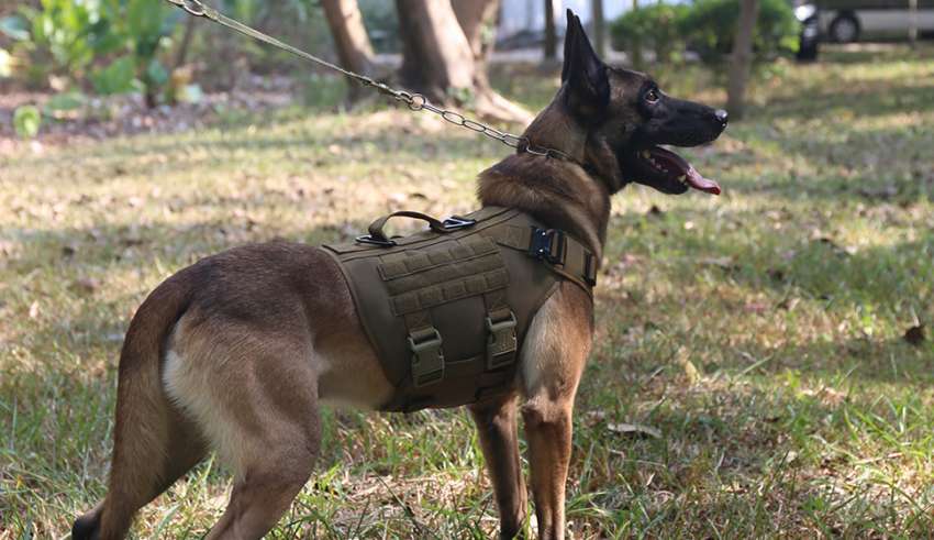 Tactical Service Dog Harness Vest