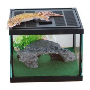 crapelles Glass Reptile Tank