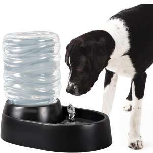 Bundaloo Electric Dog Water Dispenser with Non-Skid Feet