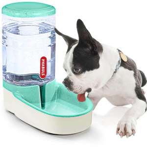 PHABULS Dog Water Dispenser