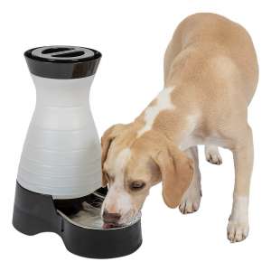 PetSafe Healthy Large Dog Water Dispenser