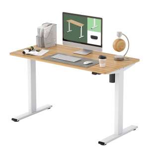 FLEXISPOT EG1 Standing Desk, 48 x 24 Inches
