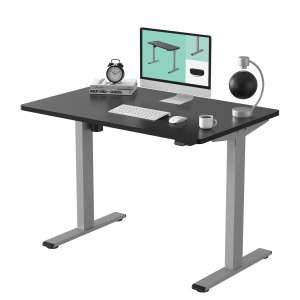 FLEXISPOT Electric Height-Adjustable Desk